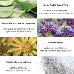 Les ingrédients