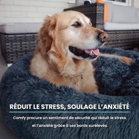 Lit apaisant pour chien