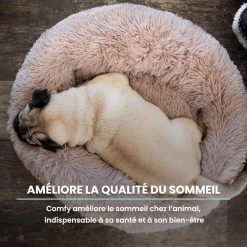 Repos du chien sur le lit