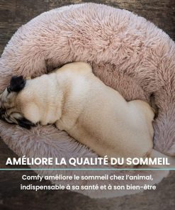 Repos du chien sur le lit