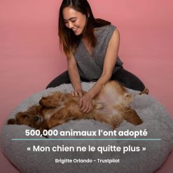 Elle prend soins de son chien