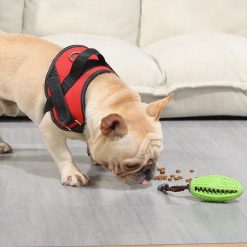 Brosse à dents pour chien