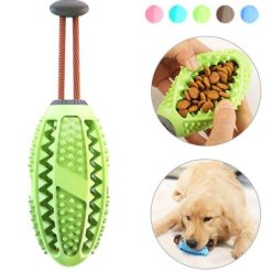 Brosse à dents pour chien