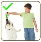 Corde d'entrainement pour jouer avec votre chien