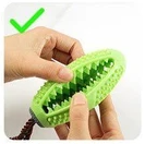 Conception double brosse