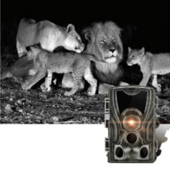 Caméra de chasse, détection de mouvement vision nocturne films des animaux
