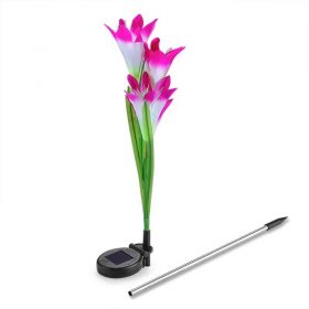 Lumière décorative solaire fleur de jardin