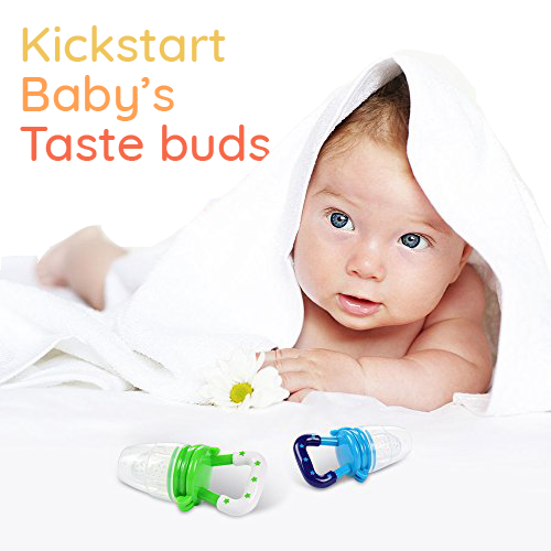 Kickstart Baby's Taste buds with Food Pacifier