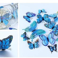 Papillon volant 3