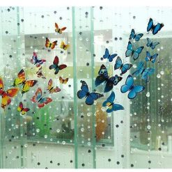Papillon volent 1