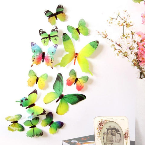 Papillon volant multicouleur