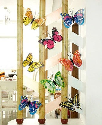 COLORÉ ET VIF PAPILLON