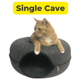La grotte à chat 