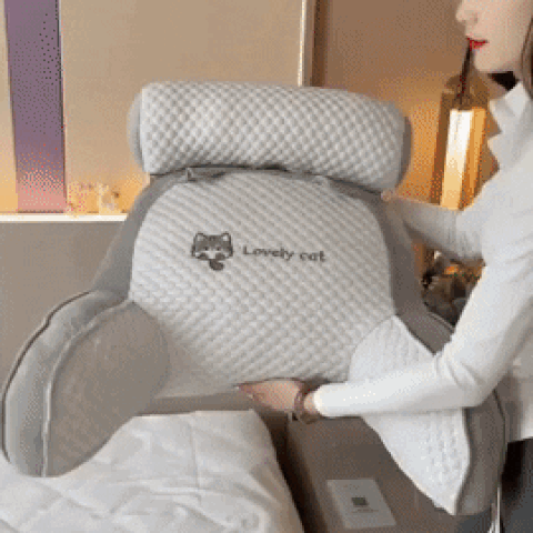 Coussin de dos Flex Comfort portable 