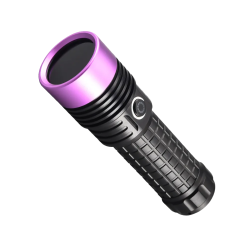 Lampe de poche UV détecteur pour punaise de lit