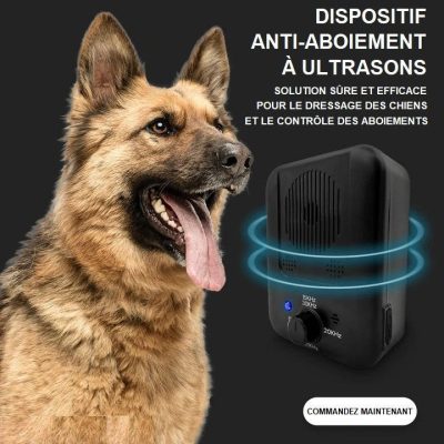 Effet sur les chiens