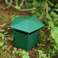 Piège à limaces et escargots dans un jardin, entouré de plantes en pot et de fleurs