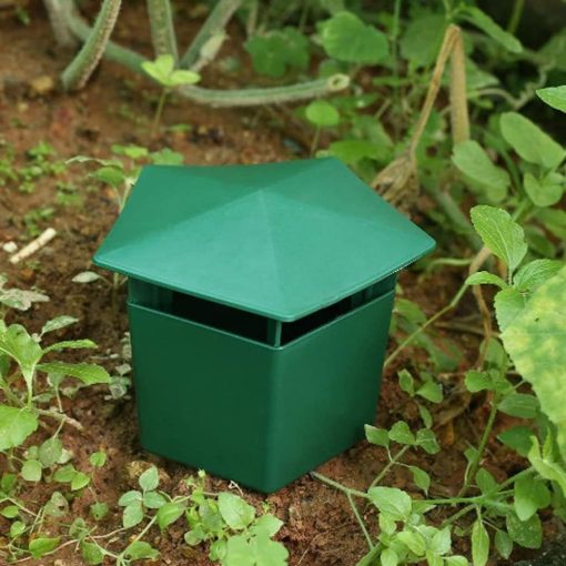 Piège à limaces et escargots dans un jardin, entouré de plantes en pot et de fleurs