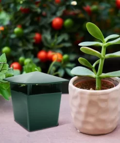 Piège à limaces placé stratégiquement dans un jardin pour protéger les plantes.