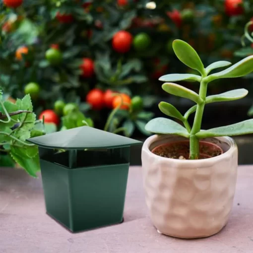 Piège à limaces placé stratégiquement dans un jardin pour protéger les plantes.