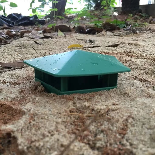 Piège à limaces placé stratégiquement dans un jardin pour protéger les plantes.