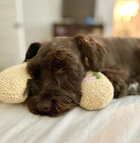 Oreiller de couchage pour animaux 