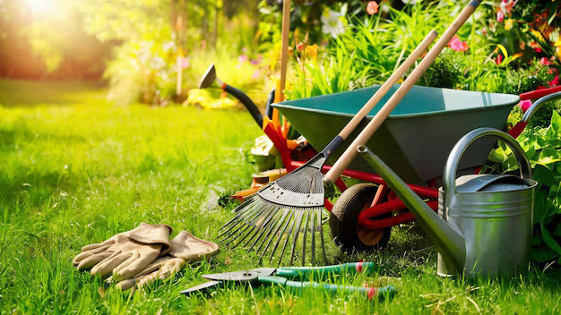 Background Tools Green Grass Garden 926199 1981835