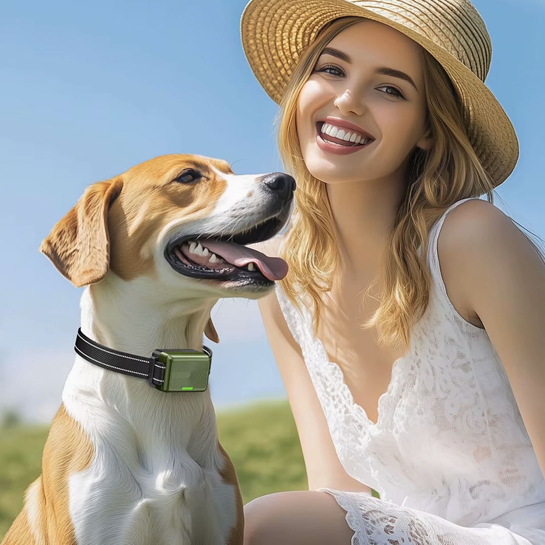  Chien courant sous la pluie avec le collier Petlori Calmi visible, éclaboussures d’eau autour, démontrant la robustesse et l’étanchéité du produit