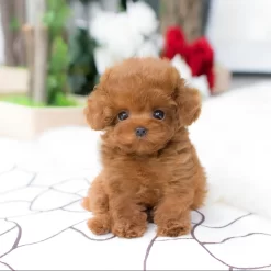 Milow Chien en peluche porte bonheur - Marron clair, 18cm