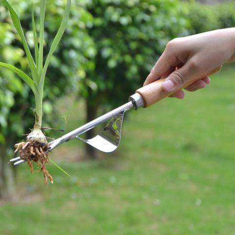 Extracteur de mauvaises herbes