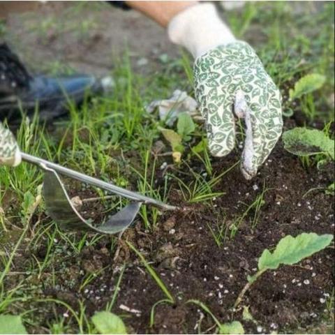 Extracteur de mauvaises herbes en cours d'utilisation