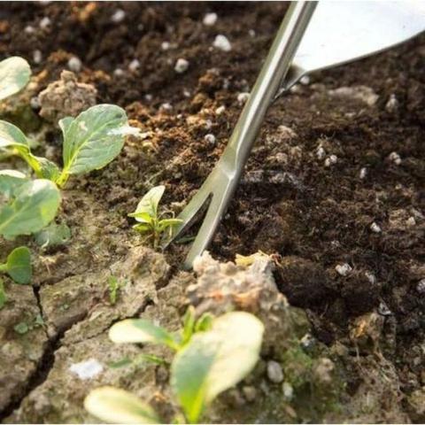 Mode d'utilisation d'extracteur de mauvaises herbes